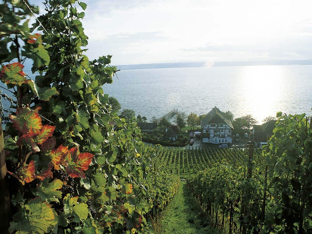 Ferienwohnung Meersburg Haltnau