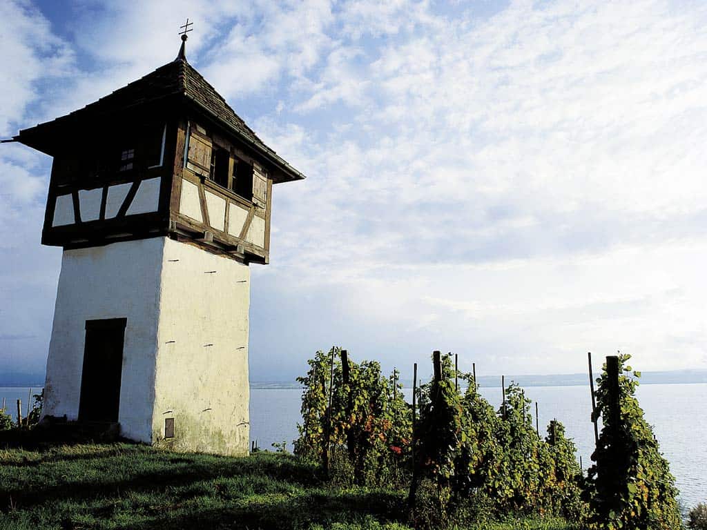 Ferienwohnung Meersburg Hoehenweg