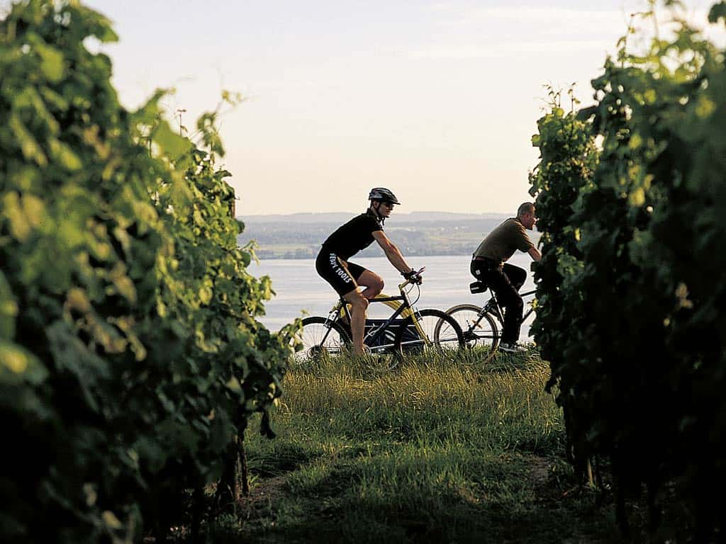 Ferienwohnung Meersburg Radfahren_3